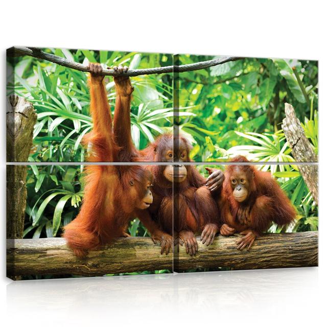 4-tlg. Leinwandbilder-Set Orangutans Im Dschungel World Menagerie on Productcaster.