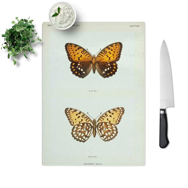 Tempered Glass Regal Fritillary Butterfly by S.F. Denton Chopping Board East Urban Home Size: 28.5 cm W x 39 cm L on Productcaster.