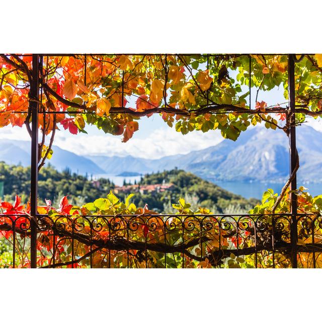 Creeper In Autumn von Deimagine - Kunstdrucke auf Leinwand Alpen Home Größe: 40 cm H x 60 cm B on Productcaster.