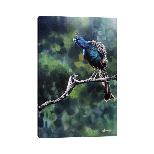 Perched Peacock by Liam Kumawat - Wrapped Canvas Photograph ClassicLiving Size: 30.48cm H x 20.32cm W x 1.905cm D on Productcaster.