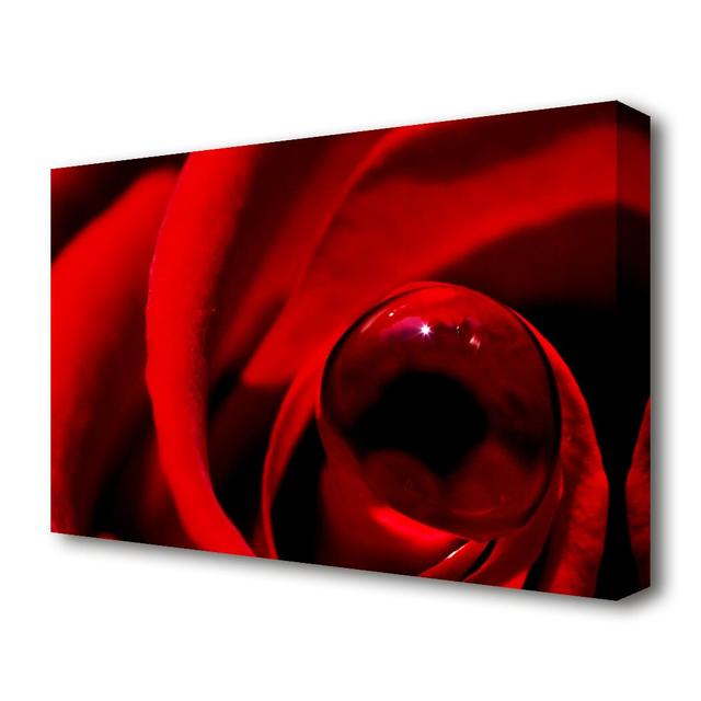 Red Rose Center Dew Flowers Canvas Print Wall Art East Urban Home Size: 50.8 cm H x 81.3 cm W on Productcaster.