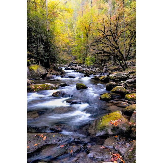 Nightfall on Tremont II by Danny Head - Wrapped Canvas Photograph Union Rustic Size: 46cm H x 30cm W on Productcaster.