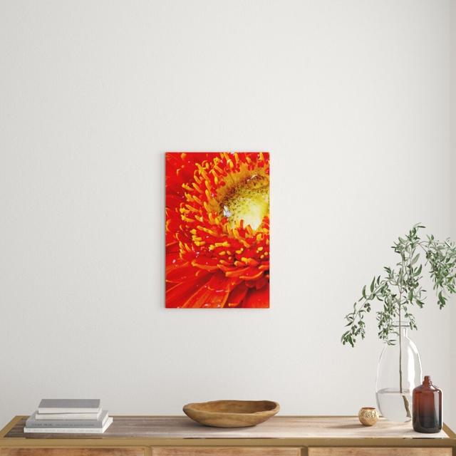 Leinwandbild Red Flower Gerbera Sunshine Gras Blumen, Fotodruck East Urban Home Größe: 80 cm H x 60 cm B on Productcaster.