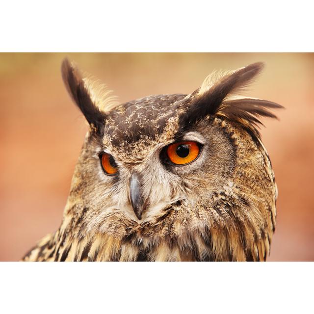 Eurasian Eagle Owl Bubo Bird 453163211 Alpen Home Size: 61cm H x 91cm W on Productcaster.