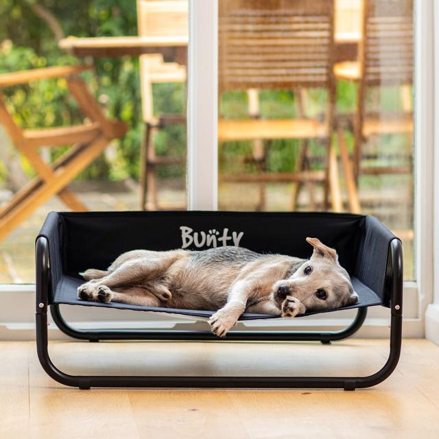 Katia Polyester Pet Bed Archie & Oscar Size: Small (56cm W x 56cm D x 24cm H) on Productcaster.