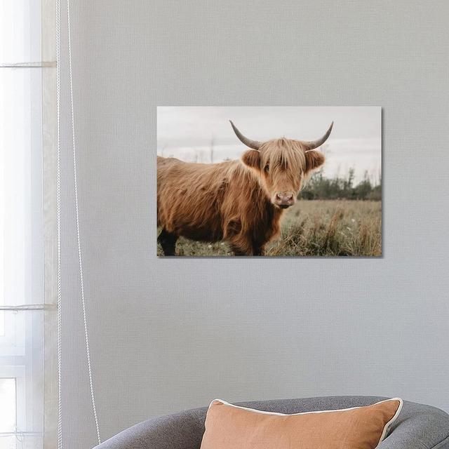 Stoic Highland Cow by Chelsea Victoria - Print on Canvas Union Rustic Format: Wrapped Canvas, Size: 45.72cm H x 66.04cm W x 1.91cm D on Productcaster.