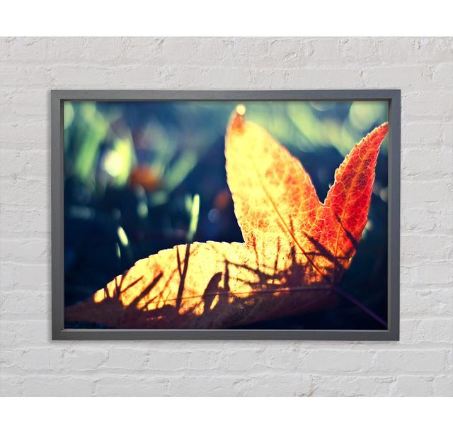 Fallen Leaf - Single Picture Frame Art Prints on Canvas Ebern Designs Size: 100cm H x 141.4cm W x 3.3cm D on Productcaster.