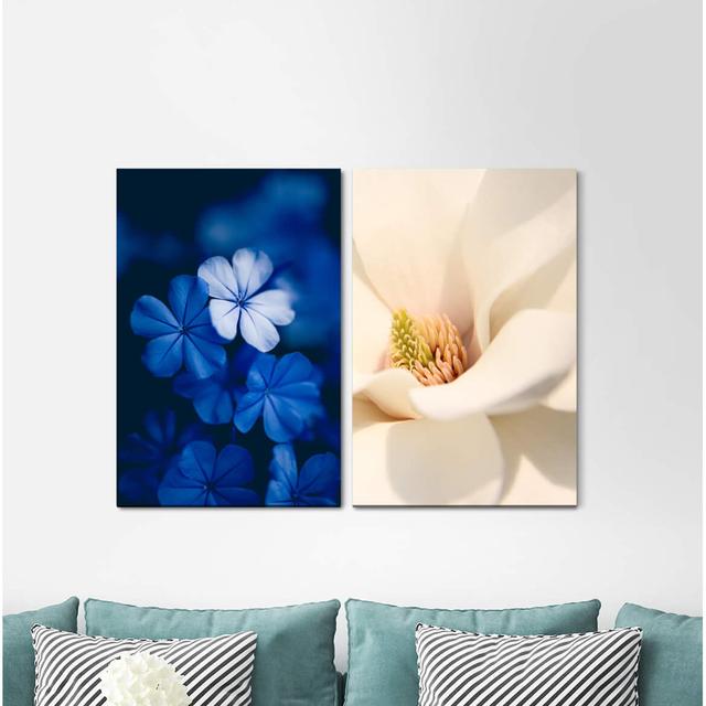 2-tlg. Leinwandbilder-Set - Grafikdruck „Blue Flowers Blossoms White Tulip Flora” East Urban Home on Productcaster.