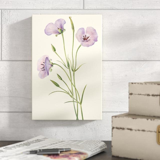 Delicate Wildflowers VI - Wrapped Canvas Painting Print Etta Avenue Size: 30cm H x 20cm W on Productcaster.