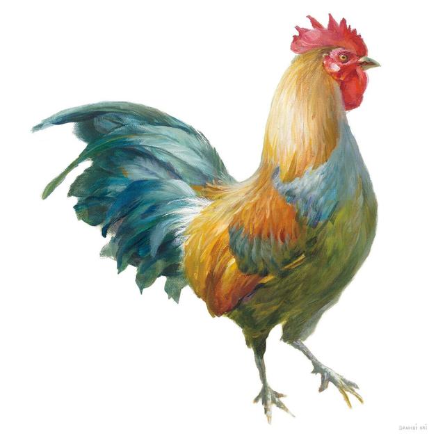 Noble Rooster III on White by Danhui Nai - Wrapped Canvas Painting Print August Grove Size: 76cm H x 76cm W on Productcaster.