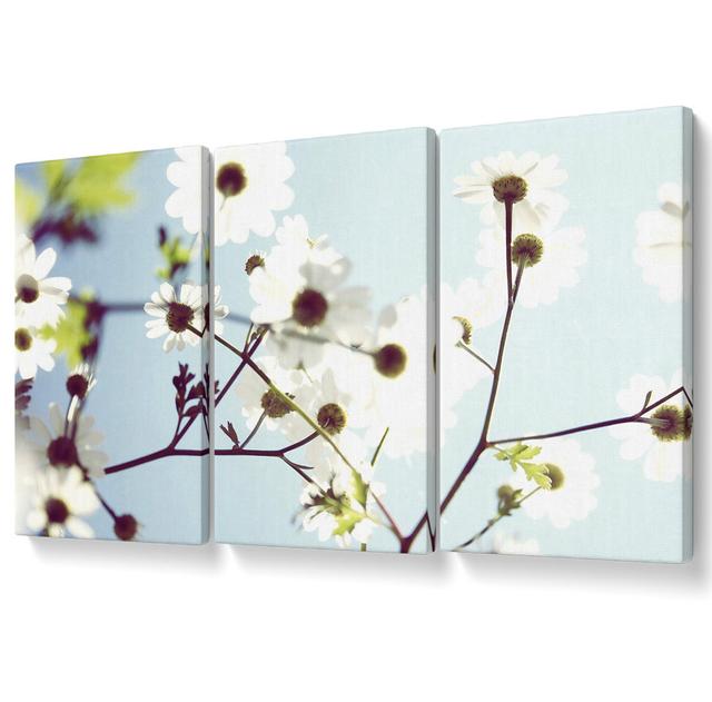 White Summer Flowers - 3 Piece Wrapped Canvas Graphic Art Ebern Designs Size: 121.9cm H x 243.8cm W on Productcaster.