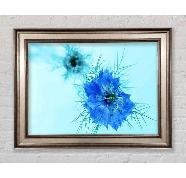 Single Picture Frame Art Prints Bright Star Size: 21cm H x 42cm W on Productcaster.