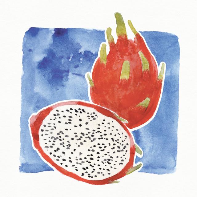 Dragon Photograph Fruit - Wrapped Canvas Art Prints Pergo Classics Size: 51cm H x 51cm W on Productcaster.