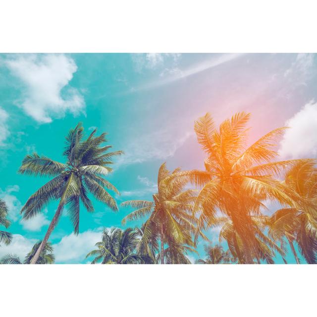 Coconut Tree - Wrapped Canvas Photograph Bay Isle Home Size: 51cm H x 76cm W on Productcaster.