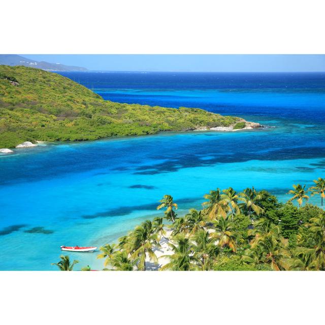 Unspoiled Caribbean Beach by Travelographer - Wrapped Canvas Photograph Breakwater Bay Size: 81cm H x 122cm W on Productcaster.