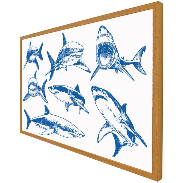 Dampier Graphical Set of Blue Sharks Isolated on White Background - Single Picture Frame Art Prints House of Hampton Size: 41cm H x 61cm W x 4cm D, Fr on Productcaster.