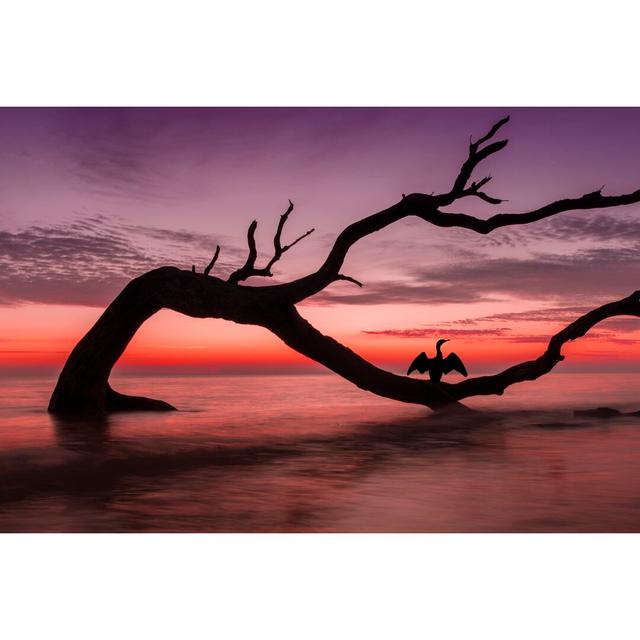 Sunset Beach by PHBurchett - Wrapped Canvas Photograph Highland Dunes Size: 20cm H x 30cm W on Productcaster.