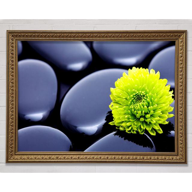 Gold Zen Stones And A Yellow Mum - Print Ebern Designs Size: 42cm H x 59.7cm W x 3cm D on Productcaster.