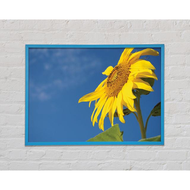 Yellow Sunflower Standing Above The Rest - Single Picture Frame Art Prints August Grove Size: 29.7cm H x 42cm W x 2cm D on Productcaster.