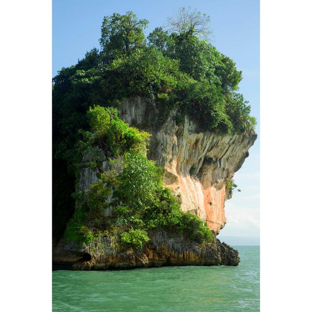 Tropical vegetation on rock House of Hampton Size: 90cm H x 60cm W on Productcaster.