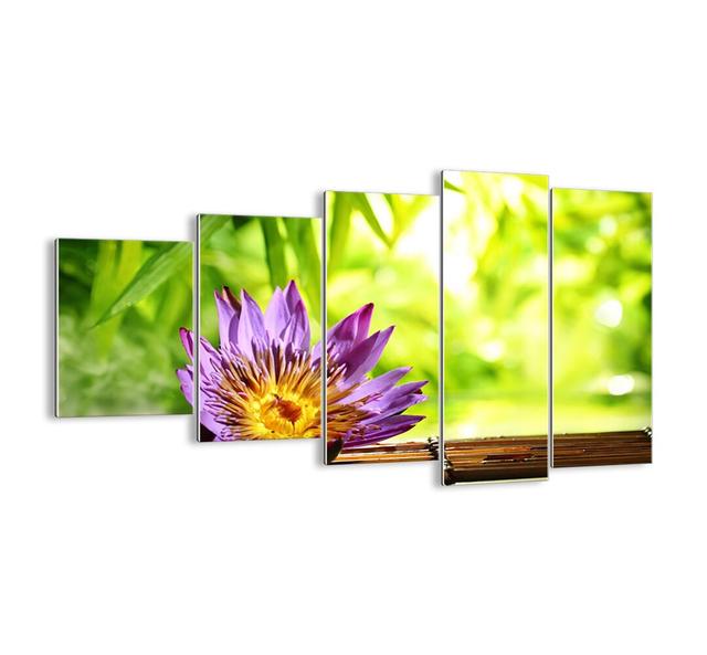 In the Asian Sun - 5 Piece Unframed Photograph Print Set on Glass Bloomsbury Market Size: 60cm H x 100cm W x 1.8cm D on Productcaster.