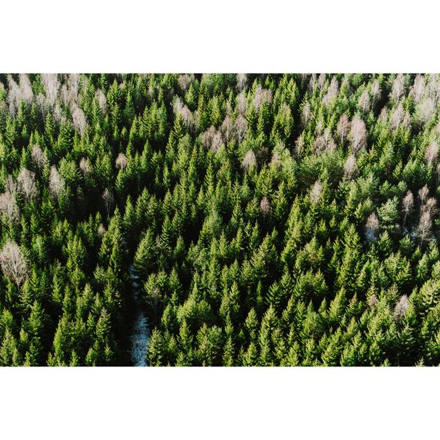 Forest From Above by Knape - Wrapped Canvas Art Prints Alpen Home Size: 20cm H x 30cm W on Productcaster.