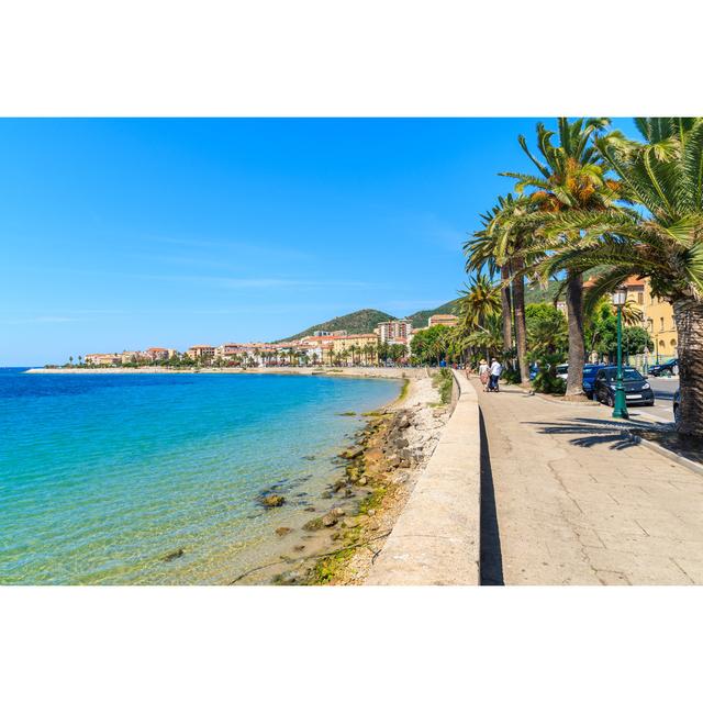 Coastal Promenade With Palm Trees House of Hampton Size: 30cm H x 46cm W on Productcaster.