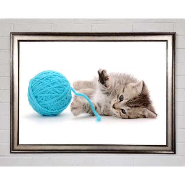 Kitten Cat Fun Framed Print Ebern Designs Size: 59.7cm H x 84.1cm W on Productcaster.