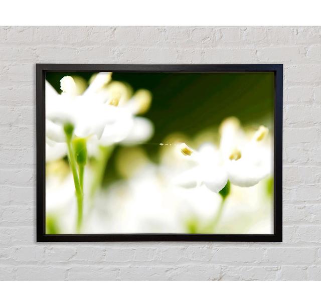 Weißer Blumenhimmel mit Netz Gerahmter Druck ModernMoments Format: Schwarz gerahmte Leinwand, Größe: 59,7 cm H x 84,1 cm B x 3,3 cm T on Productcaster.