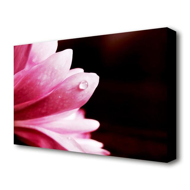 Pink Petal Dewdrop Flowers Canvas Print Wall Art East Urban Home Size: 50.8 cm H x 81.3 cm W on Productcaster.