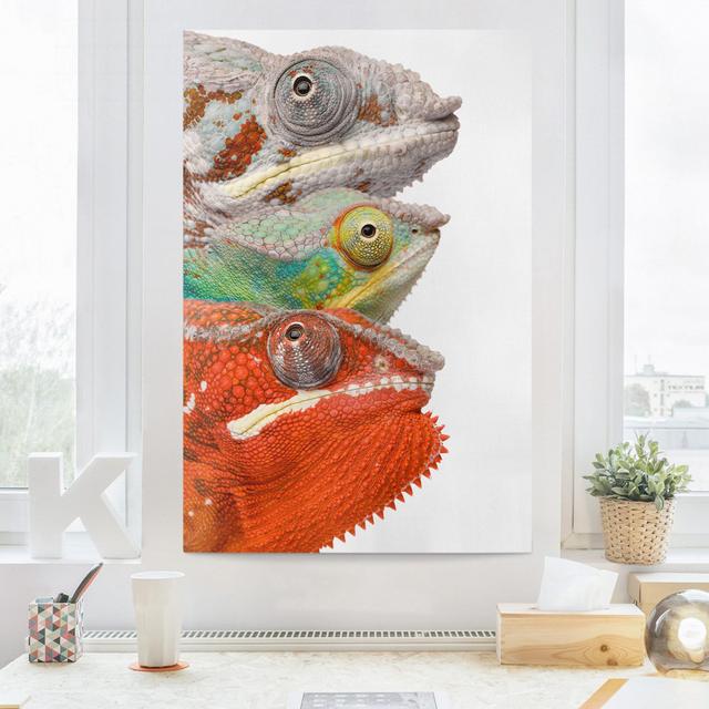 Leinwandbild Brightly Coloured Chameleons East Urban Home Größe: 90 cm L x 60 cm B x 2 cm T on Productcaster.