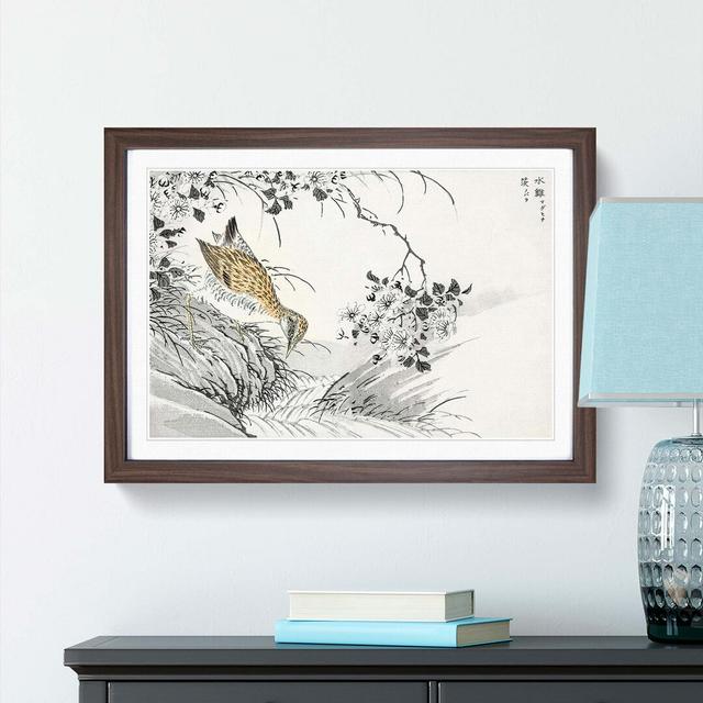 Sandpiper & Wild Rose by Numata Kashu - Picture Frame Painting Print East Urban Home Frame Option: Walnut, Size: 40cm H x 60cm W x 2cm D on Productcaster.