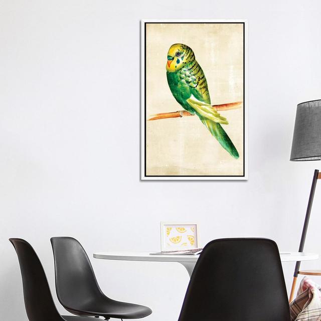 Fanciful Birds III von Chariklia Zarris - Galerie-umwickelte Leinwand Giclée Sansibar Home Format: Weißer Rahmen, Größe: 101,6 cm H x 66,04 cm B on Productcaster.