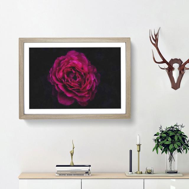 Fuscia Pink Carnation - Picture Frame Graphic Art Print East Urban Home Frame Option: Oak Framed, Size: 24cm H x 33cm W x 2cm D on Productcaster.