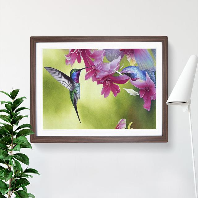 Hummingbird Vol.1 - Single Picture Frame Print Marlow Home Co. Frame Colour: Walnut Framed, Size: 34cm H x 46cm W x 2cm D on Productcaster.