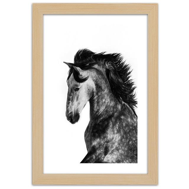 White Horse Galloping Animals - Single Picture Frame Art Prints Natur Pur Format: Light Brown, Size: 90cm H x 60cm W on Productcaster.