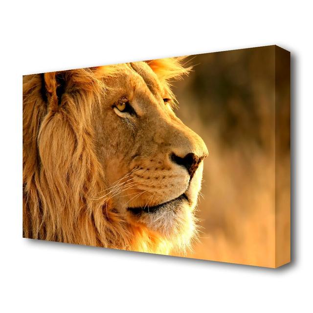 'Lion Wildlife' Photographic Print on Canvas East Urban Home Size: 81.3 cm H x 121.9 cm W on Productcaster.