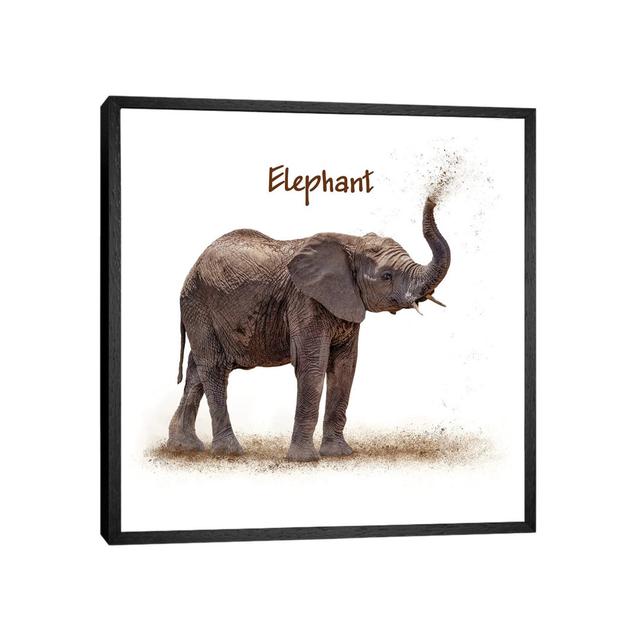 Baby Elephant Calf Blowing Dirt by Susan Schmitz - Print on Canvas Ebern Designs Format: Black Framed, Size: 66.04cm H x 66.04cm W on Productcaster.