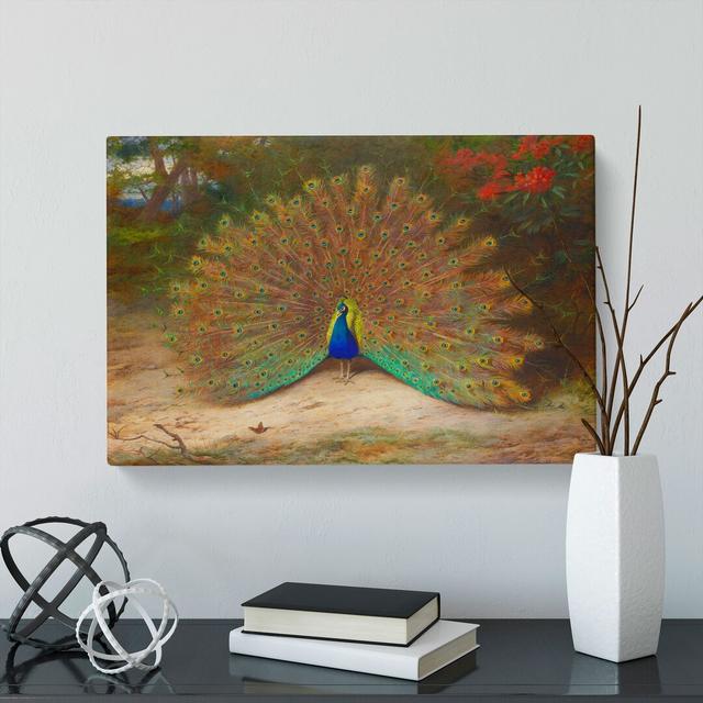 Peacock by Archibald Thorburn - Wrapped Canvas Painting East Urban Home Size: 35cm H x 50cm W x 3cm D on Productcaster.