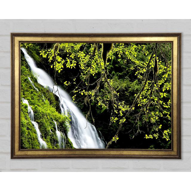 Mountain Waterfall - Print Union Rustic Size: 42cm H x 59.7cm W x 1.5cm D on Productcaster.