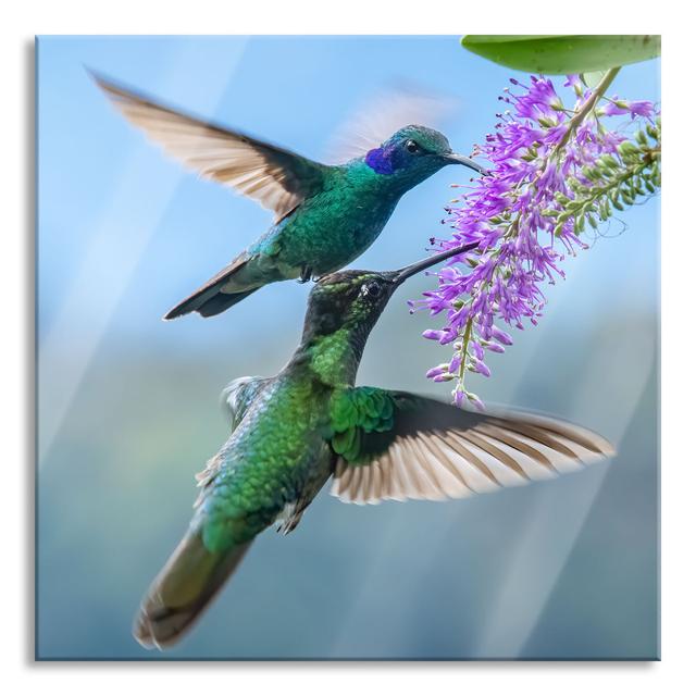 Two Green Hummingbirds on a Purple Flower - Unframed Photograph on Glass 17 Stories Size: 70cm H x 70cm W x 0.4cm D on Productcaster.