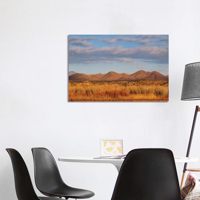 Bosque Del Apache National Wildlife Refuge, Socorro County, New Mexico, USA by Larry Ditto - Wrapped Canvas Painting Natur Pur Size: 66.04cm H x 101.6 on Productcaster.