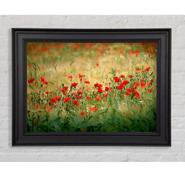 Poppies In The Field - Single Picture Frame Art Prints Ophelia & Co. Size: 59.7cm H x 84.1cm W x 8cm D on Productcaster.