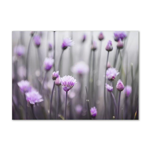 Flowers of Chives - Wrapped Canvas Art Prints Brayden Studio on Productcaster.