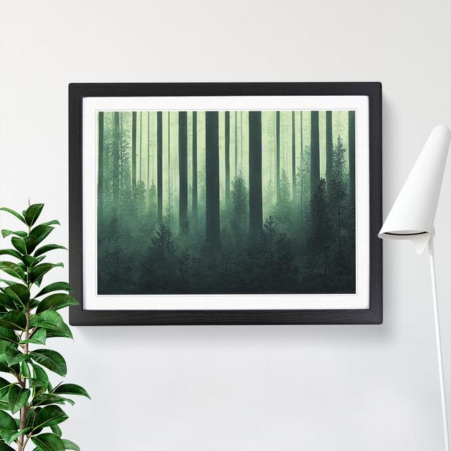 Hypnotic Forest - Picture Frame Graphic Art Alpen Home Frame Colour: Black, Size: 25cm H x 34cm W x 2cm D on Productcaster.