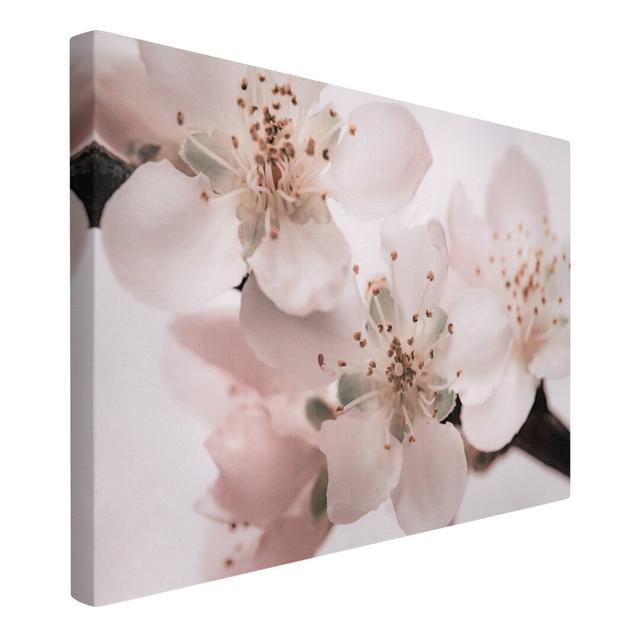 In The Heart Of The Flower - Wrapped Canvas Rectangle Graphic Art on Ebern Designs on Productcaster.