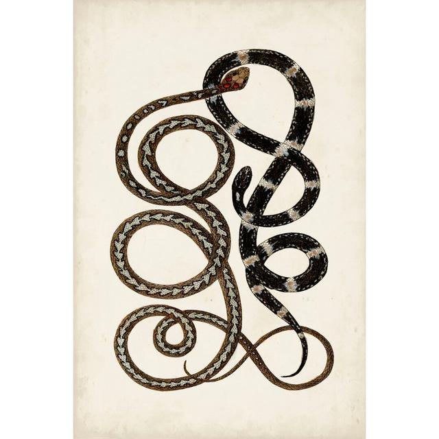 Antique Snakes II - Wrapped Canvas Painting Rosalind Wheeler Size: 91cm H x 61cm W x 3.8cm D on Productcaster.