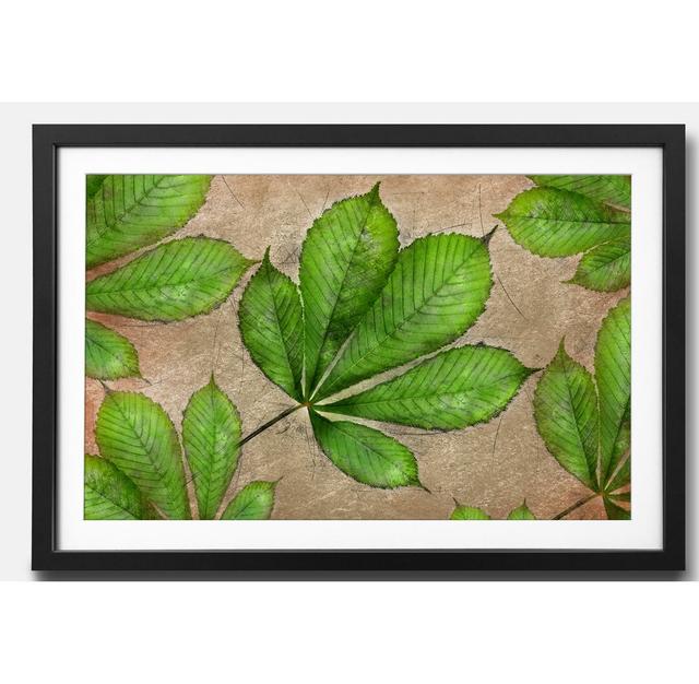 'Chestnut' - Picture Frame Graphic Art Print on Paper Ebern Designs Size: 44cm H x 64cm W x 2.2cm D on Productcaster.