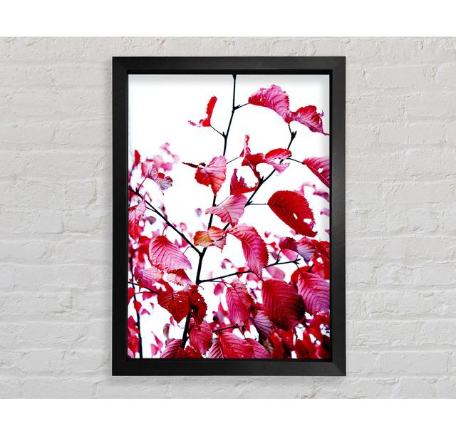 Red Leaves In Autumn - Single Picture Frame Art Prints Bright Star Size: 141.4cm H x 100cm W x 3.4cm D on Productcaster.