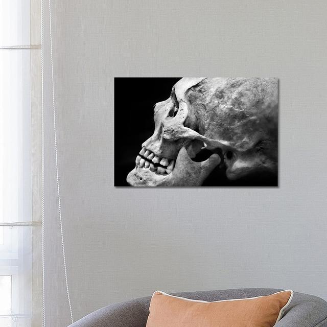 The Beauty of Bones II by Ben Heine - Wrapped Canvas Photograph Happy Larry Size: 45.72cm H x 66.04cm W x 3.81cm D on Productcaster.